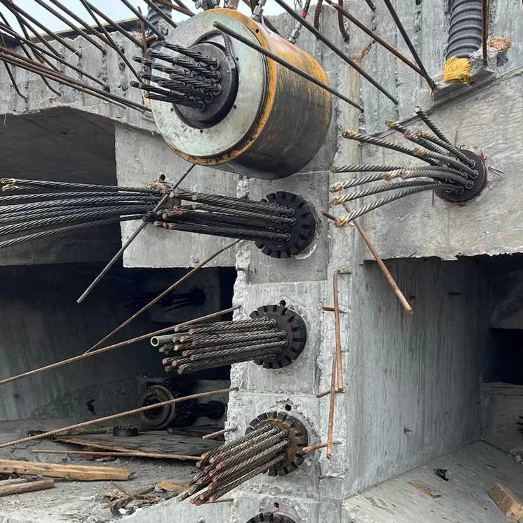 1703137610467644.jpg 603.jpg